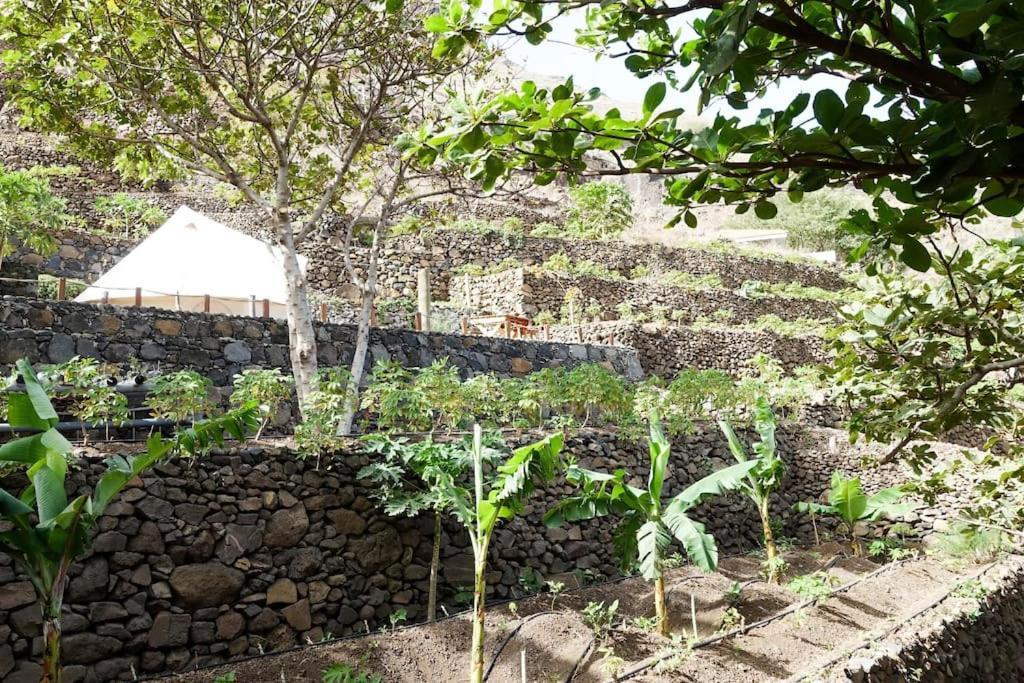 Ecolodge Kasa D'Igreja Cha da Igreja ภายนอก รูปภาพ