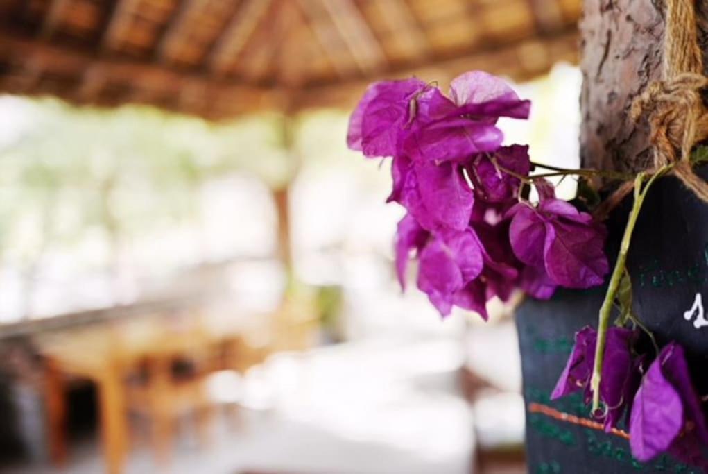 Ecolodge Kasa D'Igreja Cha da Igreja ภายนอก รูปภาพ